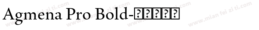 Agmena Pro Bold字体转换